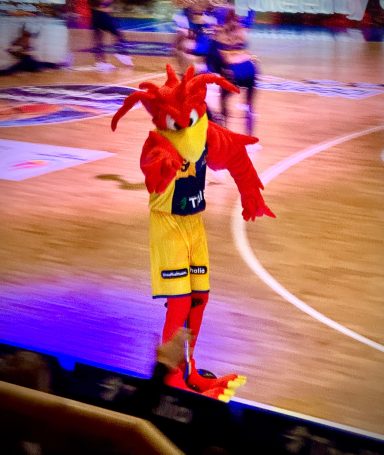 Ein maskottchen mit roten Federn, das auf einem Basketballfeld steht.