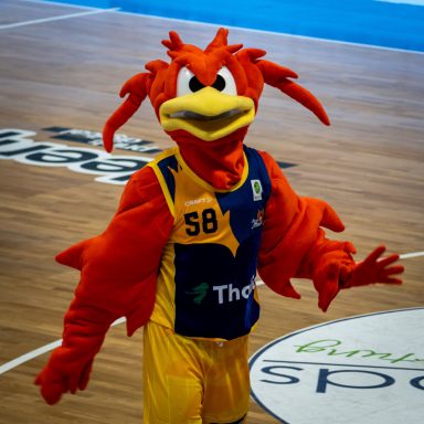 Felix Feuervogel